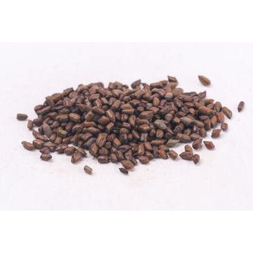 Cassia Seed (Jue Ming Zi) 1kg